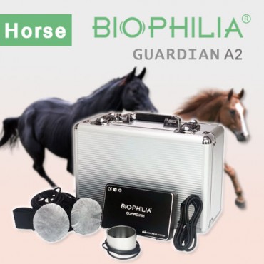 Biophilia Guardian A2 Bioresonance Machine horse