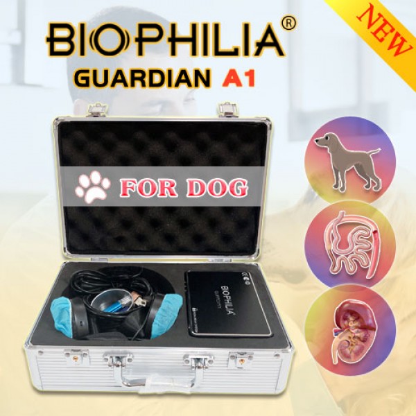 Biophilia Guardian A1 Bioresonance Machine dog